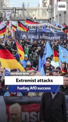 Journalist: Extremist attacks fueling AfD success