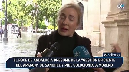 El PSOE de Andalucía presume de la "gestión eficiente del apagón" de Sánchez y pide soluciones a Moreno
