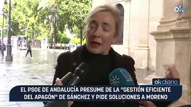 El PSOE de Andalucía presume de la gestión eficiente del apagón de Sánchez y pide soluciones a Moreno