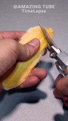 Growing Mango Tree from seed _plants _timelapse _mango(1080P_60FPS)