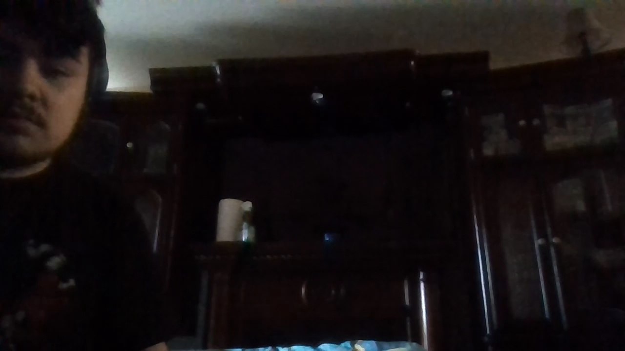 Opening To The Cheetah Girls One World 2008 DVD