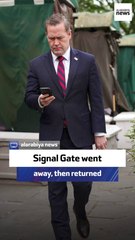 GOP strategist: Signal Gate went away, then returned