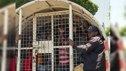 Repatriación de haitianos en Bávaro: 530 en las últimas 24 horas