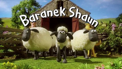 Baranek Shaun Wideo na Urodziny