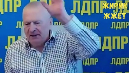 Жириновский жжёт