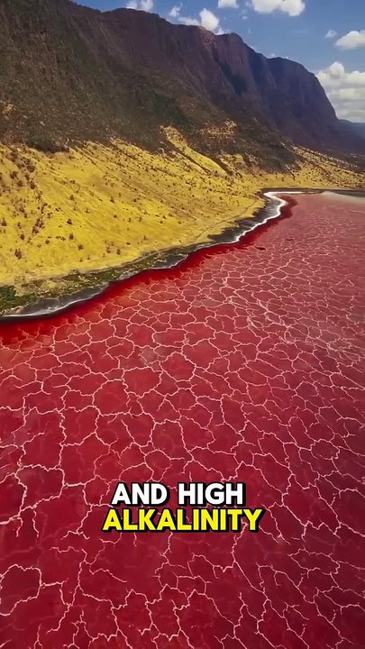 Lake Natron: Tanzania's Alkaline Wonder