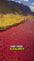Lake Natron: Tanzania's Alkaline Wonder