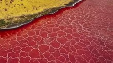 Lake Natron: Tanzania's Alkaline Wonder
