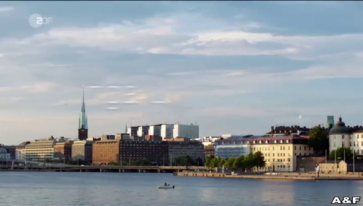 Inga Lindström -063- Alle lieben Elin