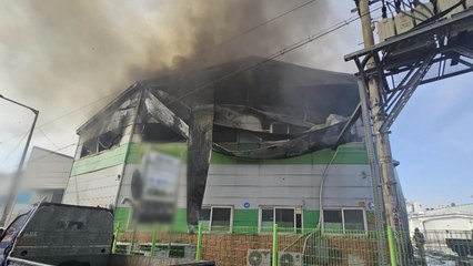 군포 공장에서 화재...대응 1단계 발령해 진화 작업 / YTN
