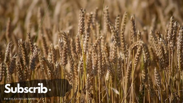 Great Relaxing Peaceful Music 🍀 Music Heals The Heart And Blood Vessels