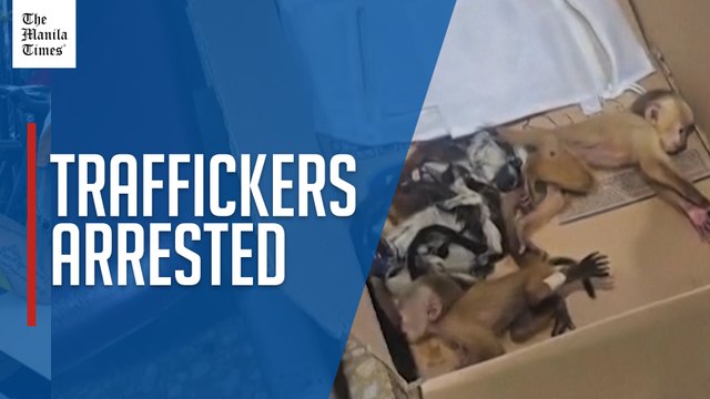 Colombia arrests traffickers carrying primates in their underwear