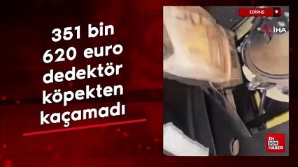 Edirne'de beyan edilmemiş 351 bin 620 euro dedektör köpekten kaçamadı