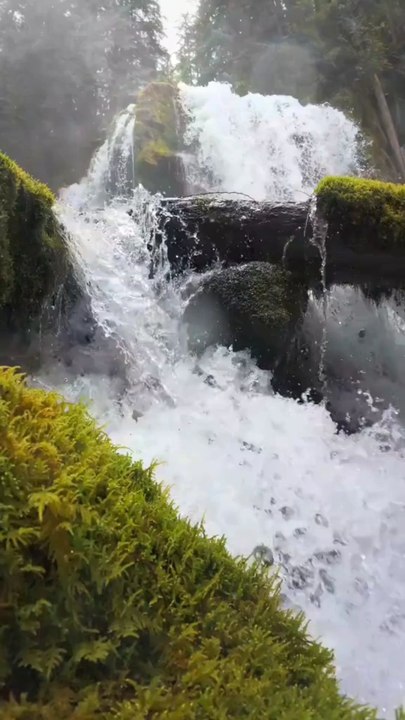beautiful Nature