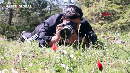 Senede bir kez açıyorlar, koparmanın cezası ise artık 557 bin 212 TL