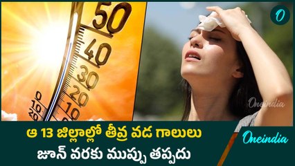 Telangana Heatwave : తెలంగాణలోని 13 జిల్లాలకు వడగాలుల ముప్పు | Oneindia Telugu