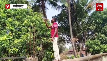 'खंभा' बन गया गांव का 'मसीहा', पेड़, पहाड़ और दीवार पर चढ़े मिलेंगे यहां लोग