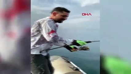 Hatay'da balıkçıların oltasına köpek balığı takıldı