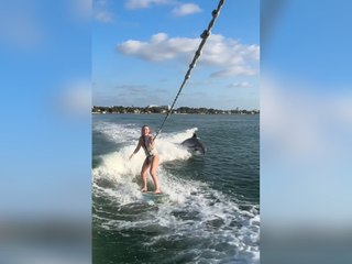 Skirennfahrerin bekommt beim Wake-Surfen tierische Begleitung