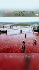 ऊपर वाला अगर बदला लेने पर आ जाए तो क्या होगा😱