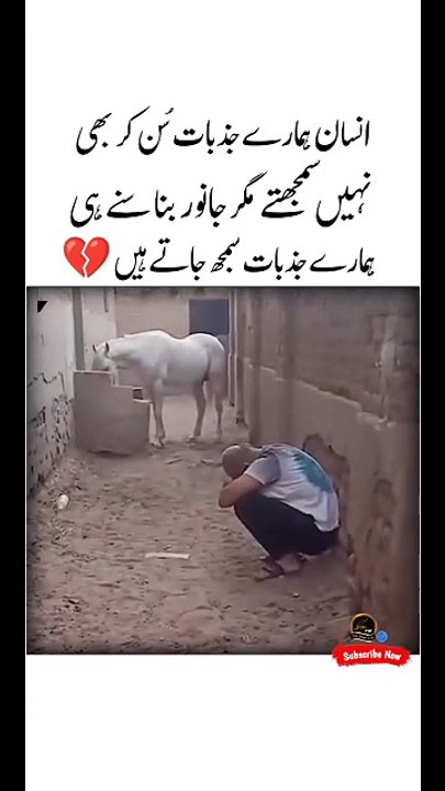 انسان انسان کا درد نہیں سمجھ سکتا ہے لکین جانور سمجھ سکتا ہے