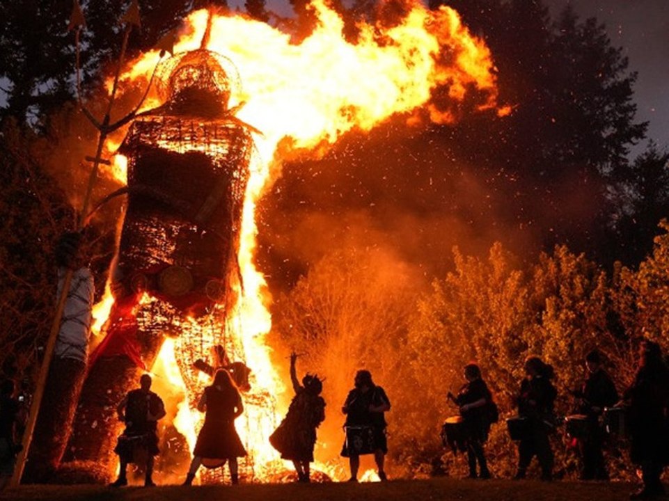 Riesen-Weidenmann geht in Flammen auf