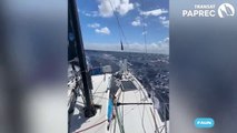 Transat Paprec 2025 : Alizés au rendez-vous  soleil, calme et un peu de répit pour les skippers !