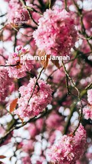 A Heartfelt Nasheed |Dreaming of Jannah