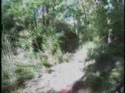 Raismes La forestiere