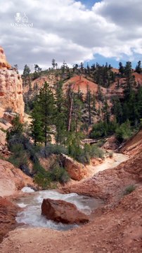 Prophet Yaqoob (A.S.) Nasheed