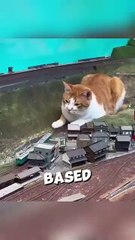 This cat saved a hotel from going bankrupt ❤️ #shorts