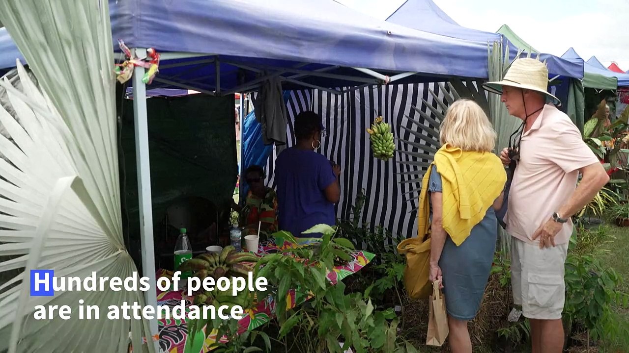 New Caledonia's deer and shrimp festival defies divisions