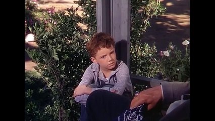 Kasztanek _ Robert Mitchum _ Polski Lektor