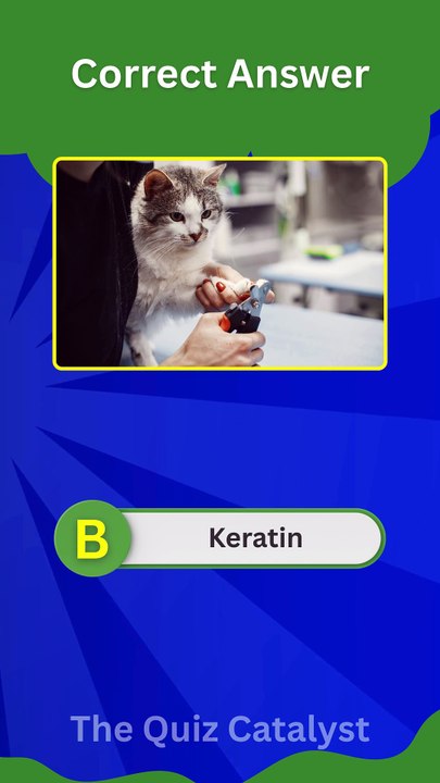 Cat Nails Quiz: Can You Score 4/4? 😼💅 | Cat Claw Facts Every Owner MUST Know!