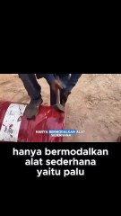 Kerja keras player Pakistan dalam daur ulang!