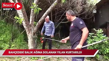 Bahçedeki balık ağına dolanan yılan kurtarıldı