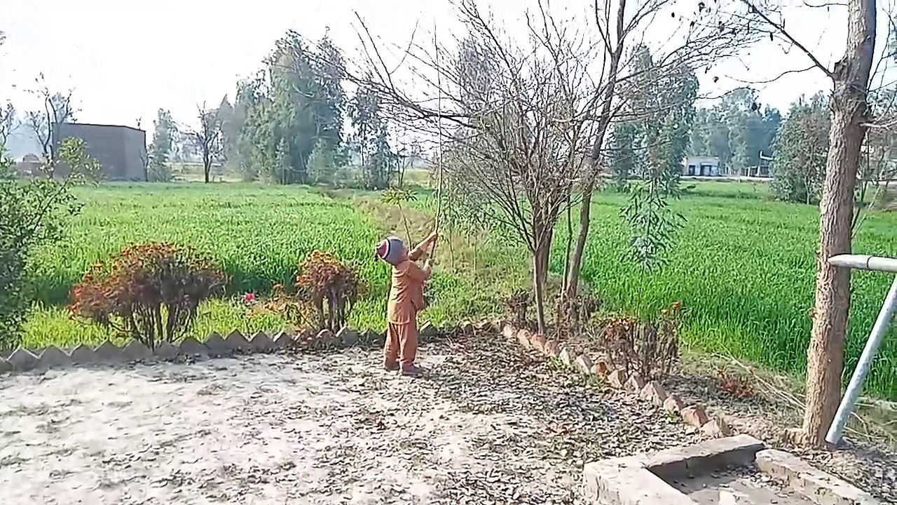 VID20240201100133