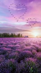 Most beautiful places on Earth # Nature  love #_4