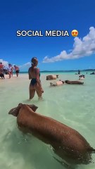 Places In Real Life #travel #explore #adventure #destinations