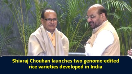 Shivraj Chouhan launches two genome-edited rice varieties developed in India