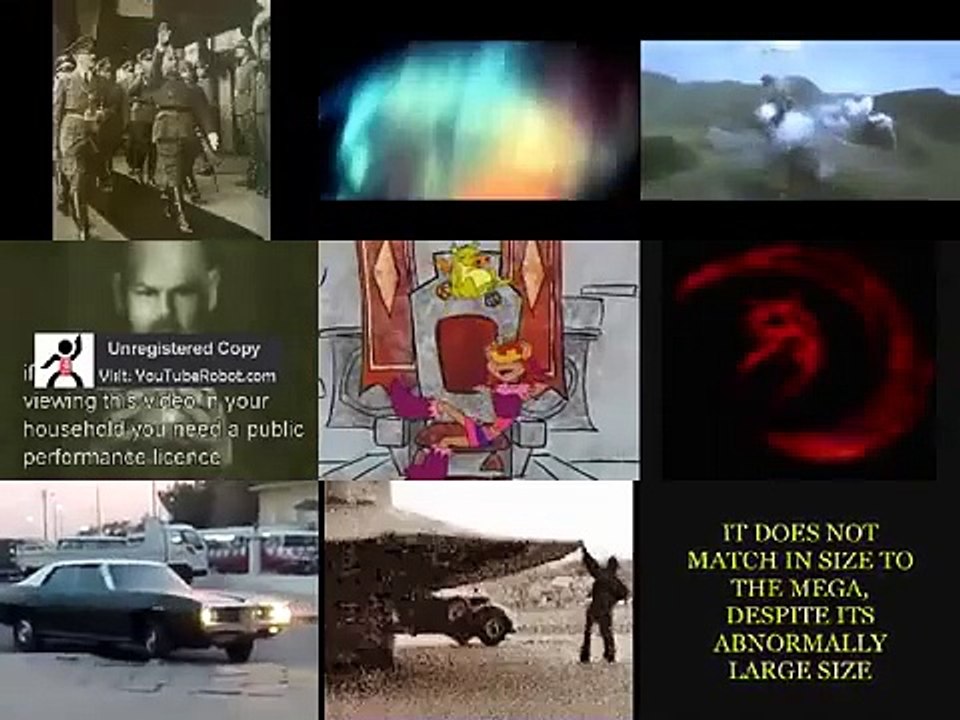 Annoying Goose Nineparison 22