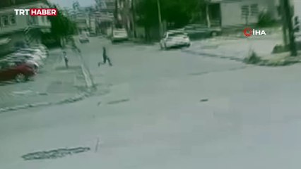 Adana'da başıboş köpekler çocuklara saldırdı