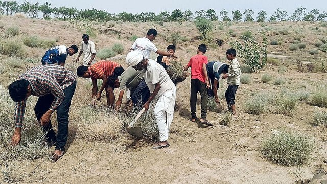 अमृतम जलम अभियान: जल संरक्षण का संदेश देने बढ़े हाथ