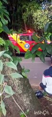 Corpo em decomposição é encontrado nos fundos do lago Aratimbó, em Umuarama - 1
