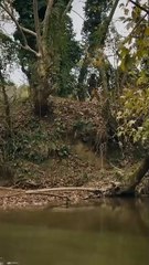 ATV - Yolun sonu bataklık__KuruluşOsman _Reels(HD)