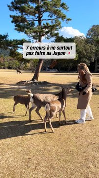 Ne fais surtout pas ces erreurs si tu vas au Japon !