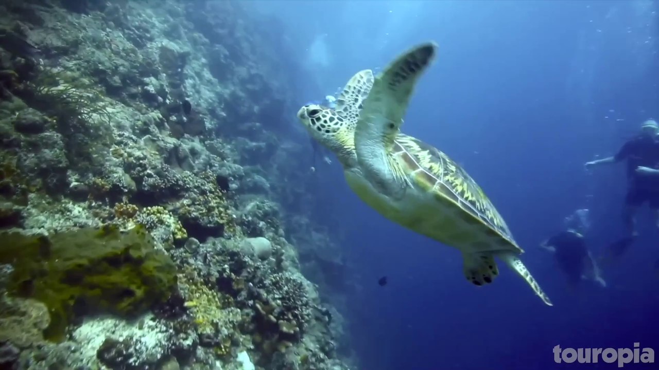 Explore Indonesia: 10 Unmissable Island Gems-Travel Guide