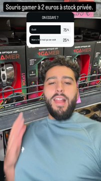 La souris la moins chère du monde