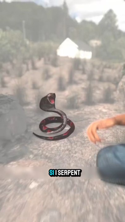 Si un serpent mord