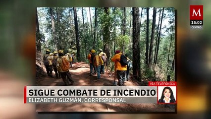 En Michoacán, combaten incendio en Santuario de la Mariposa Monarca